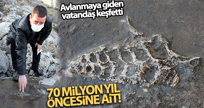 Kaya parçasında 70 milyon yıllık fosil bulundu