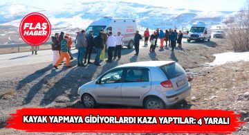 Kayağa giden 4 kişi trafik kazası geçirdi
