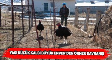 Küçük Enver ayağına ip dolaşan hindiyi kurtardı