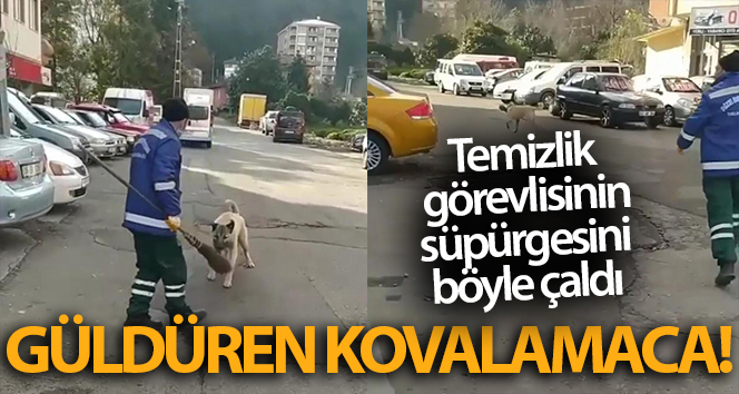Rize’de temizlik görevlisi ile süpürgesini çalan köpek arasındaki kovalamaca cep telefonu kameralarına yansıdı