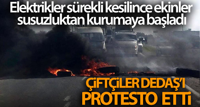 Şanlıurfa’da çiftçiler DEDAŞ’ı protesto etti
