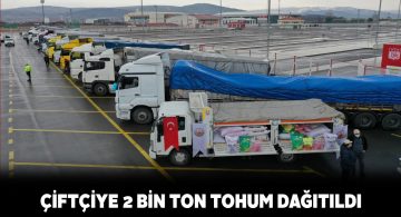 Sivaslı 5 bin çiftçiye tohum desteği