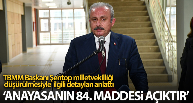 TBMM Başkanı Şentop: ‘Anayasanın 84. maddesi açıktır’
