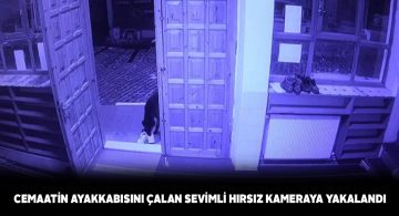 Camii kapısından ayakkabı çalan köpek güvenlik kamerasına yakalandı