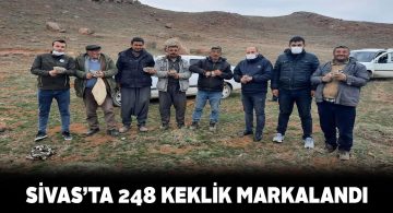 Doğa koruma ekipleri Sivas kekliklerini markaladı