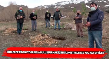 İstanbul’dan geldiler Sivas’ta yüzlerce fidan diktiler