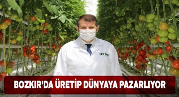 Sivas’taki ilk jeotermal sera projesi ile domates üretiliyor