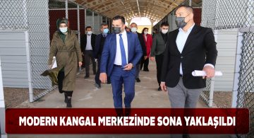 Kangal Köpeği Üretim, Eğitim ve Koruma Merkezi açılıyor