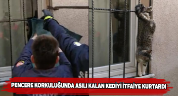 Kedinin patisi pencereye sıkıştı yardımına itfaiye koştu