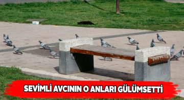 Küçük kedinin güvercin avı çalışmaları izleyenleri gülümsetti