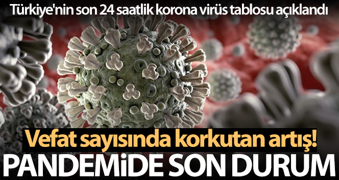 Sağlık Bakanlığı, Türkiye’nin son 24 saatlik korona virüs tablosunu açıkladı