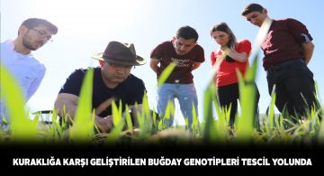 Her türlü kuraklığa dayanıklı bitki üretiyorlar