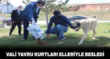 Vali Ayhan ve STK’lardan anlamlı hayvan besleme faaliyeti