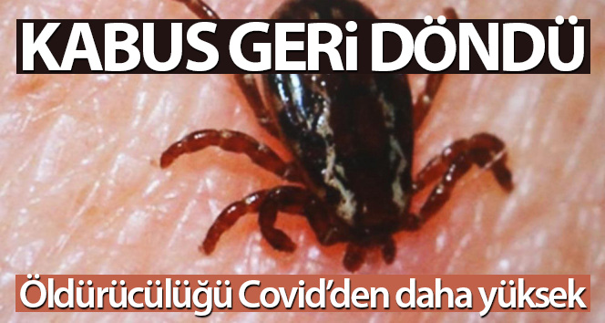 Kabus geri döndü, öldürücülüğü Covid’den yüksek