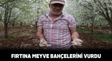 10 dakika süren fırtına meyve bahçelerini de vurdu