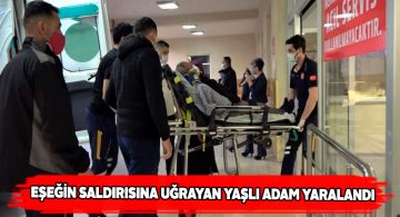 Sabıkalı eşek bir köylüyü daha yaraladı