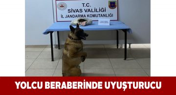 Şehirlerarası otobüste 2 kilogram esrar yakalandı