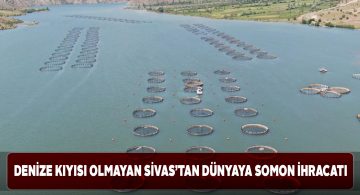 Sivas’ta üretilen somon tüm dünyaya ihraç ediliyor