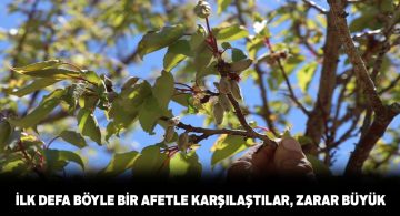 Sivas’ta yaşanan don olayından dolayı meyve bahçelerinde büyük zarar