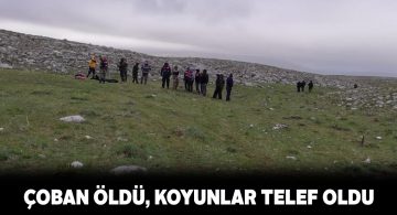 Sürüsünü yayan çoban kırsalda ölü bulundu