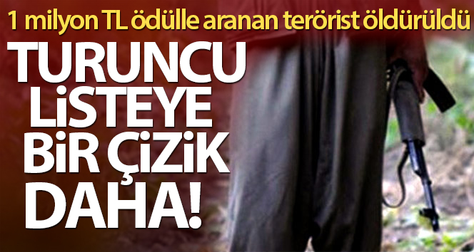 ‘Turuncu’ kategoride aranan 1 milyon TL ödüllü terörist öldürüldü