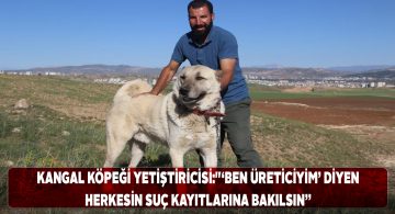 Kangal köpeği yetiştiriciliği ile ilgili yeni düzenlemeler yolda