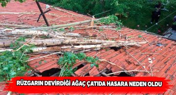 Gürün ilçesinde şiddetli rüzgârdan dolayı ağaçlar devrildi