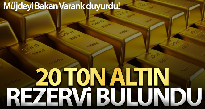 Ağrı’da 1.2 milyar dolarlık altın, 2.8 milyon dolarlık gümüş rezervi bulundu