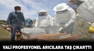 Vali Ayhan arı sütü sağımı gerçekleştirdi