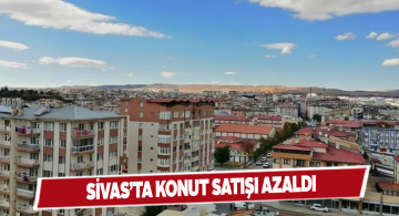 Mayıs ayı konut satış rakamları belli oldu