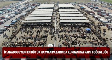 Şarkışla Canlı Hayvan Pazarı’nda bayram yoğunluğu