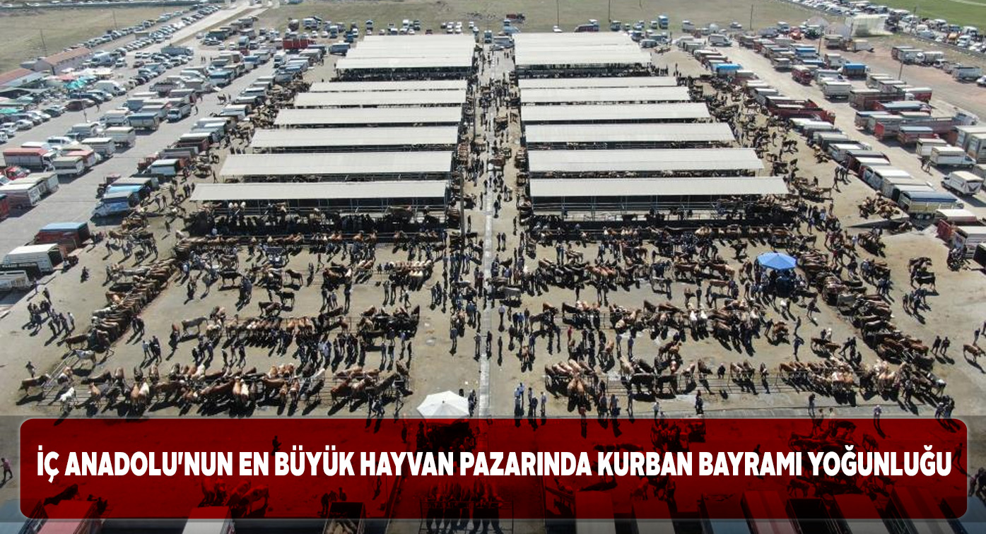 Şarkışla Canlı Hayvan Pazarı’nda bayram yoğunluğu