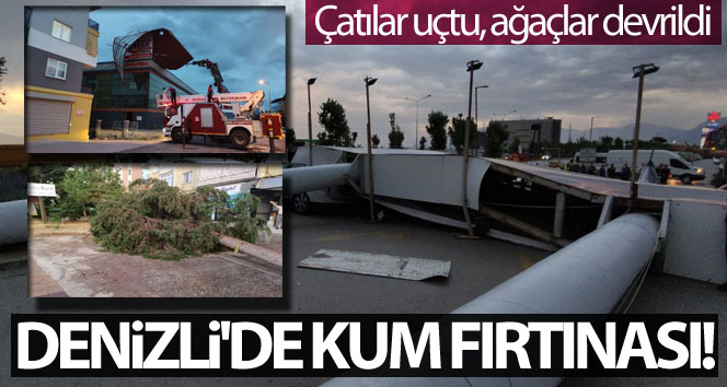 Denizli’de kum fırtınası: Çatılar uçtu, ağaçlar devrildi