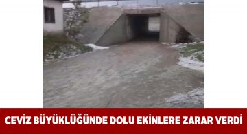 Yıldızeli’ndeki dolu ve sel hasara neden oldu