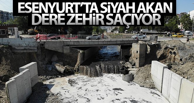 Esenyurt’ta siyah akan dere zehir saçıyor
