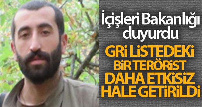 Gri listedeki bir terörist daha etkisiz hale getirildi