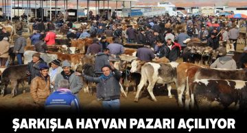 Normalleşme ile birlikte hayvan pazarları da açılıyor