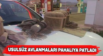 Keklik avcılarına cezai işlem uygulandı