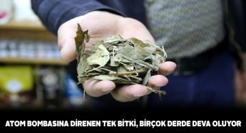 İsmi kadar sağlığa faydaları da dikkat çekiyor