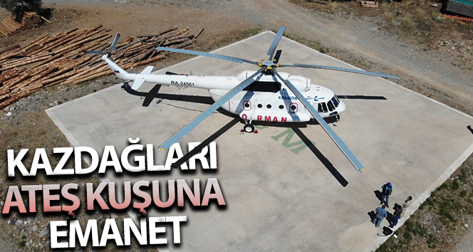 Kazdağları ateş kuşuna emanet