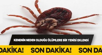 Sivas’ta keneden dolayı bir vatandaş daha yaşamını yitirdi