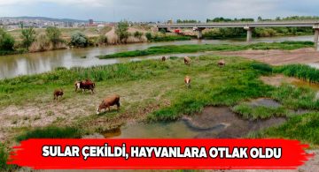 Kızılırmak’ta yaşanan kuraklık vatandaşları tedirgin ediyor