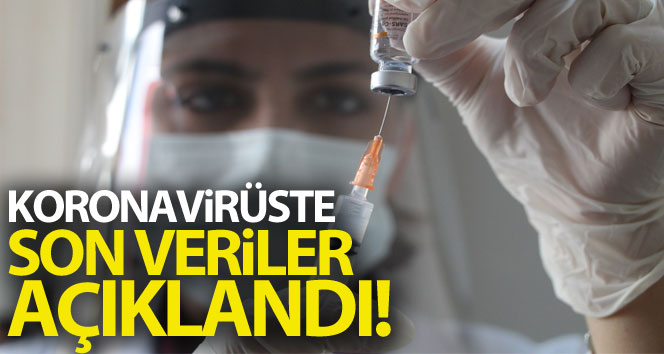 Koronavirüste son veriler paylaşıldı