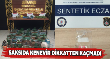 Kovalara ektikleri kenevir ile suçüstü yakalandılar