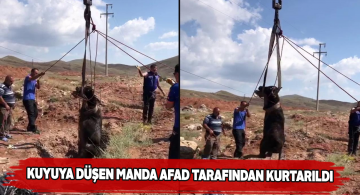 Manda kuyuya düştü yardımına AFAD koştu