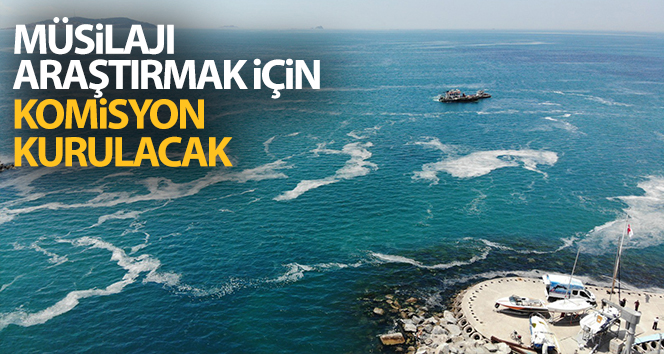 Marmara Denizi’ndeki müsilajı araştırmak için komisyon kurulmasına karar verildi