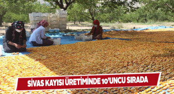 TÜİK meyve üretimine ilişkin rakamları açıkladı