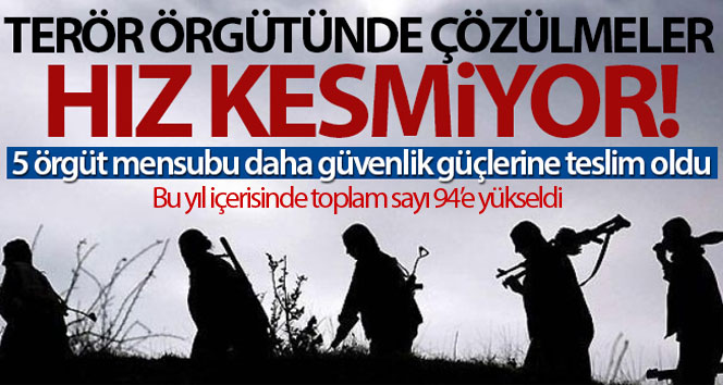 PKK’da çözülme devam ediyor, 5 örgüt mensubu daha ikna yoluyla teslim oldu