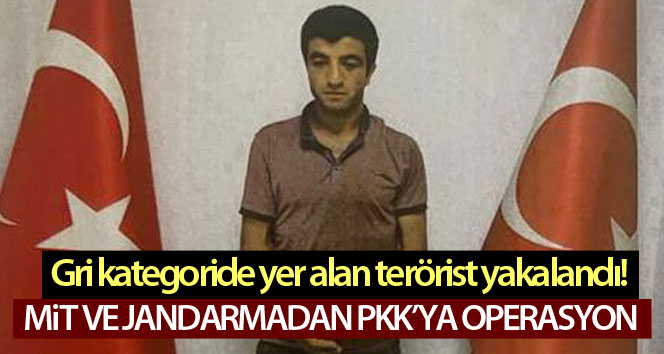 PKK’lı ‘Şiyar Erzurum’ kod adlı İslam BİLİZ ortak operasyonla yakalandı!