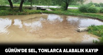 Gürün ilçesindeki sağanak yağış sele neden oldu